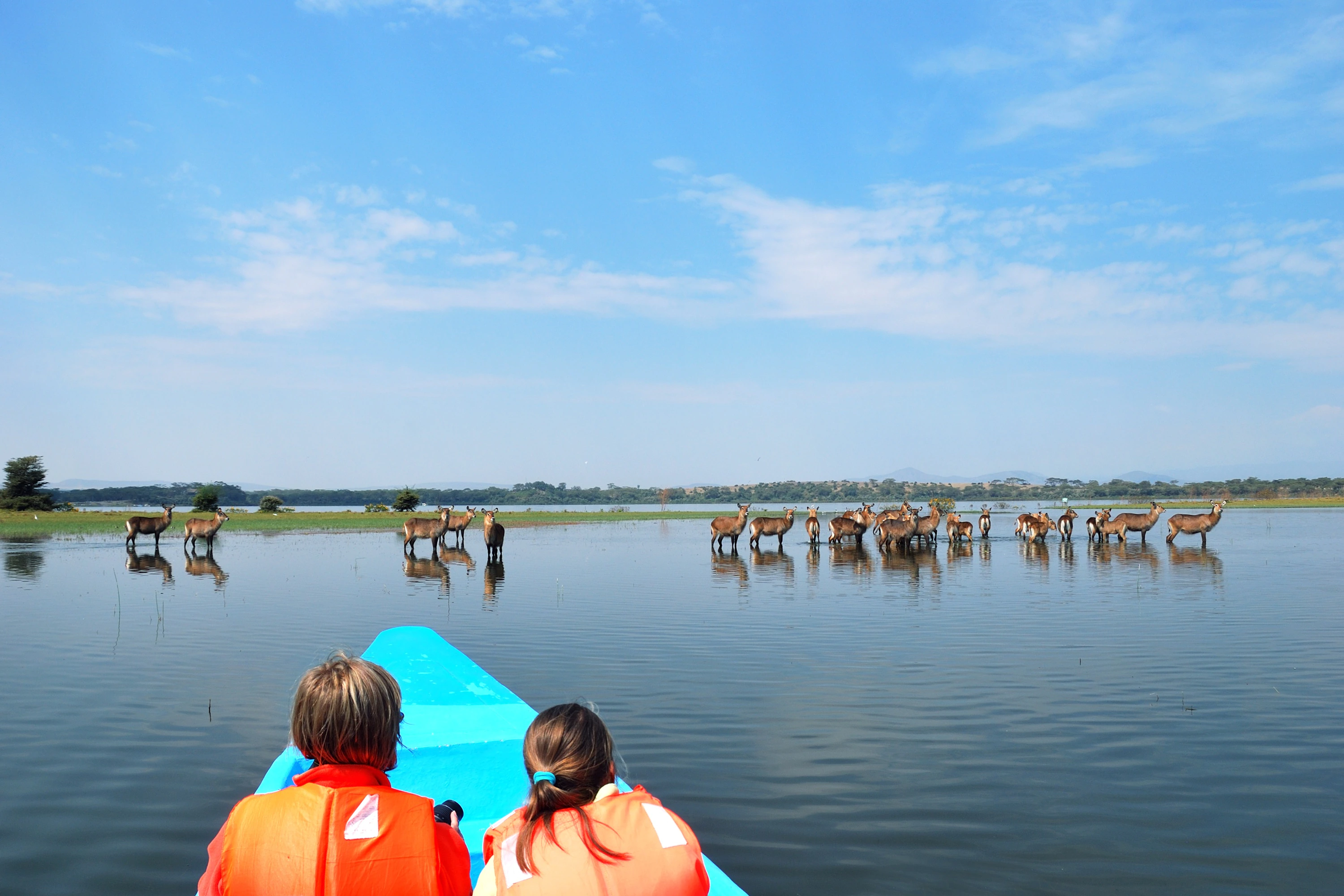 Experience Lake Nakuru with Madfun